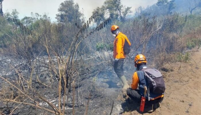 Titik Api Baru Muncul di Semeru, Berjarak sekitar 1 Km dari Ranupane