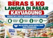 Beras 5 Kg Langka di Pasar Kayuagung, Bulog Buka Akses SPHP untuk Pedagang